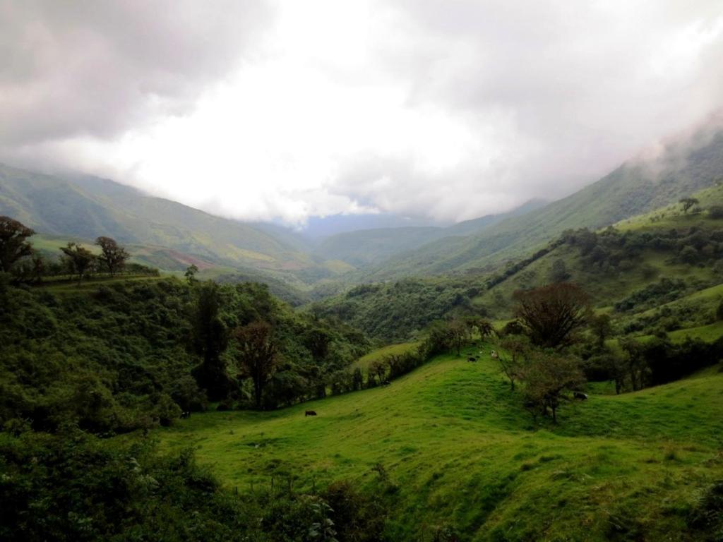 Finca Petrona Calacali Екстер'єр фото