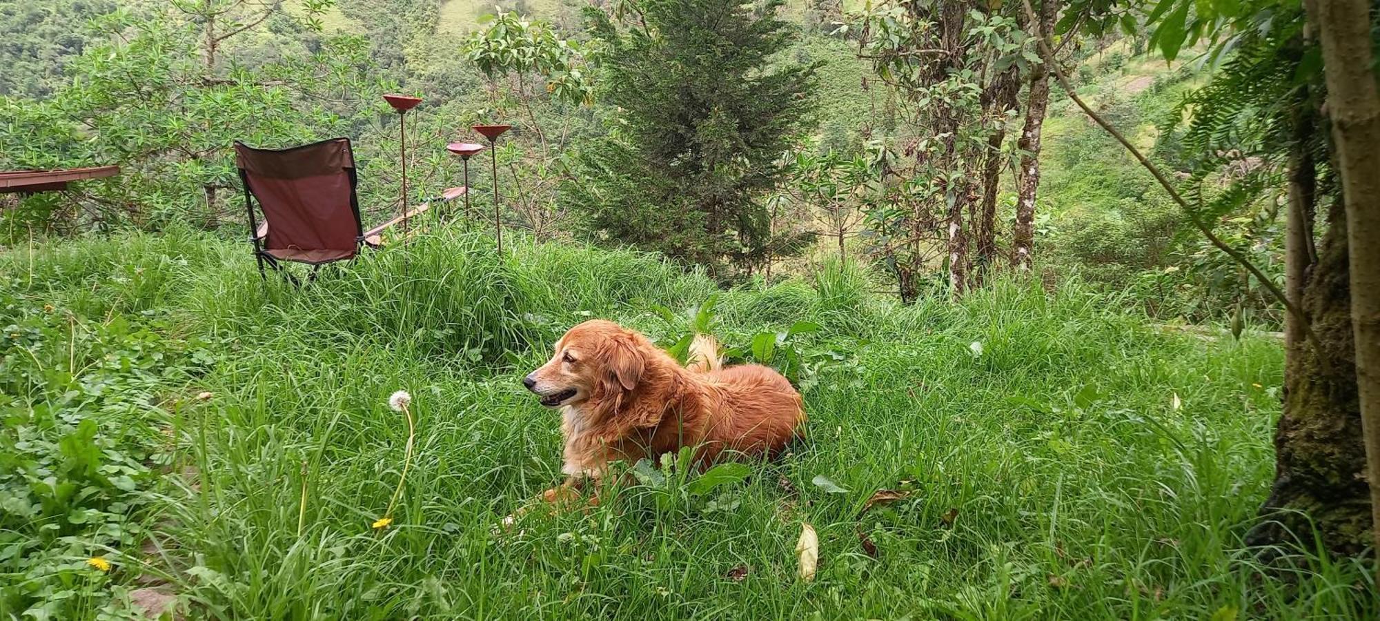 Finca Petrona Calacali Екстер'єр фото