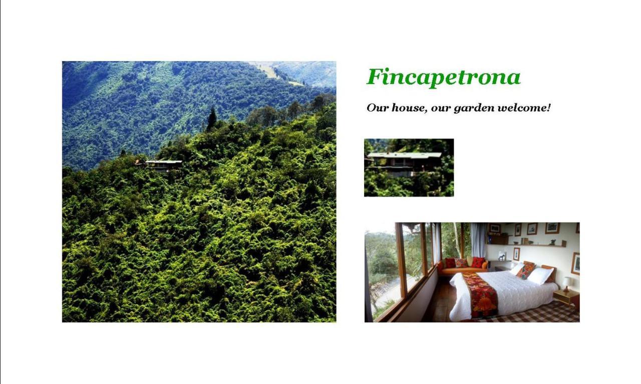 Finca Petrona Calacali Екстер'єр фото